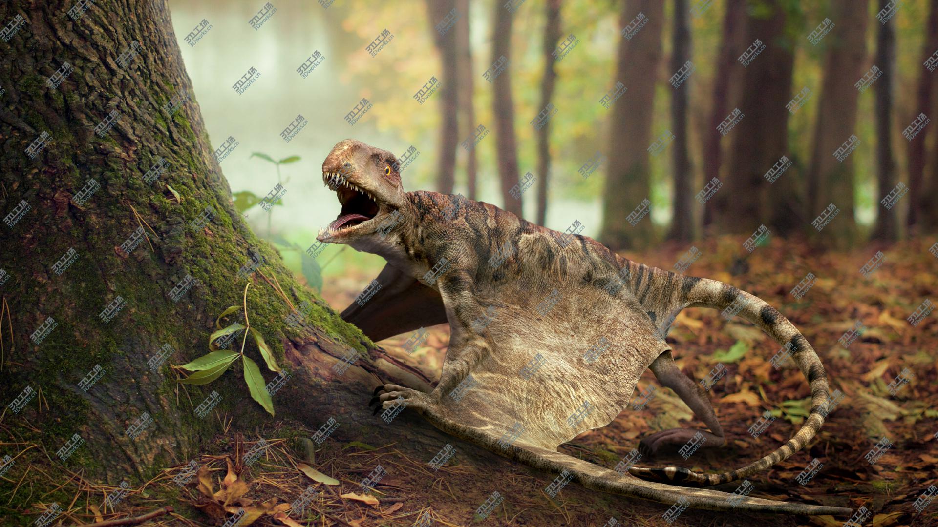 images/goods_img/202104094/Peteinosaurus (Rigged) 3D model/2.jpg